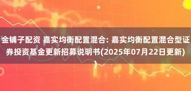 金铺子配资 嘉实均衡配置混合: 嘉实均衡配置混合型证券投资基金更新招募说明书(2025年07月22日更新)