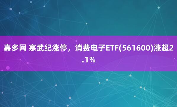 嘉多网 寒武纪涨停，消费电子ETF(561600)涨超2.1%