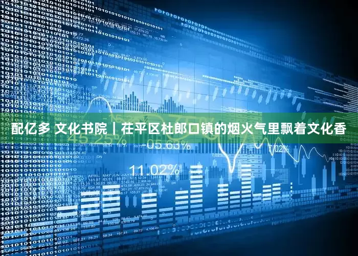 配亿多 文化书院｜茌平区杜郎口镇的烟火气里飘着文化香