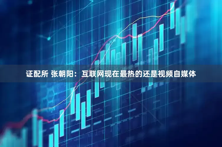 证配所 张朝阳：互联网现在最热的还是视频自媒体